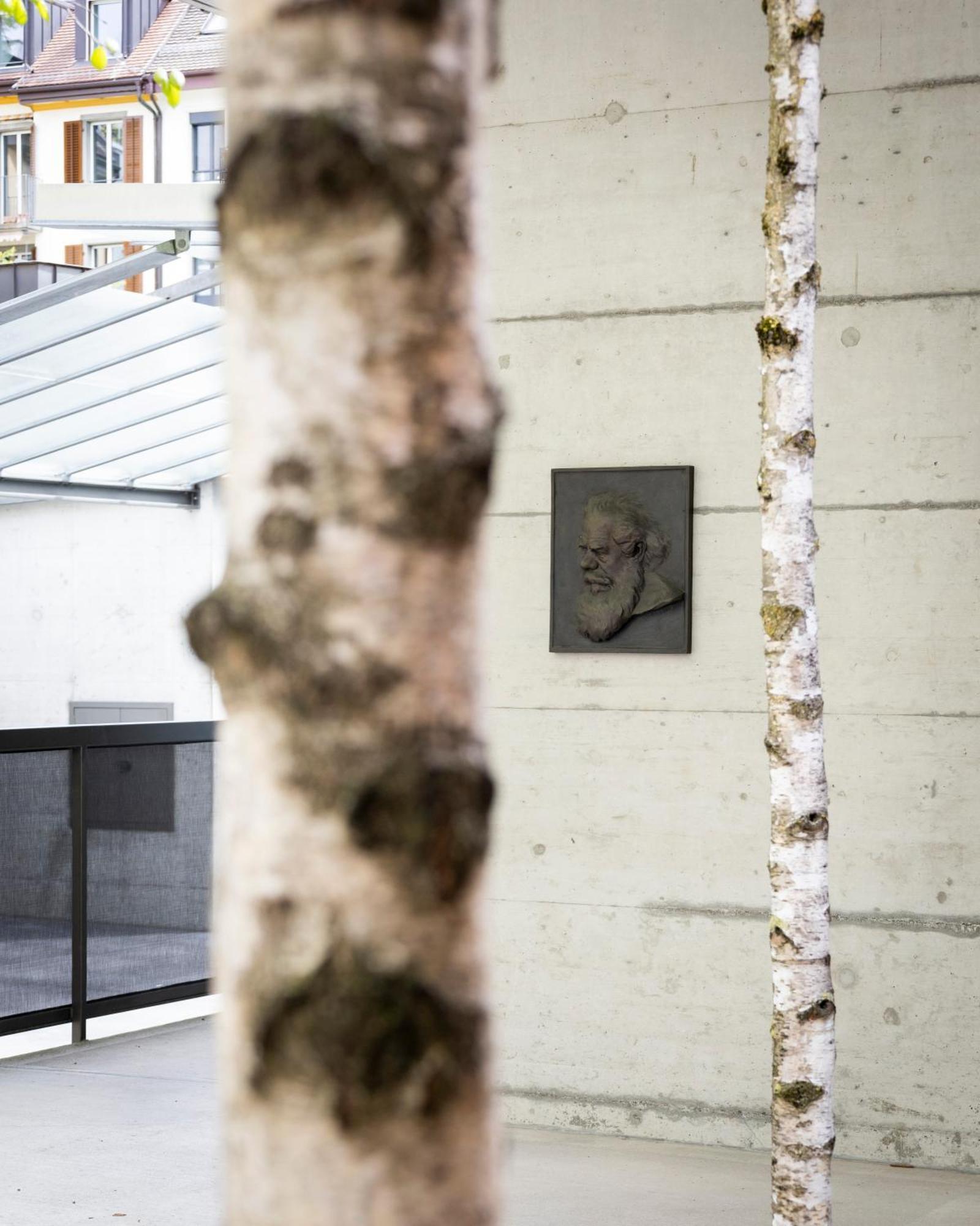 Greulich Design & Boutique Hotel Zürich Eksteriør bilde