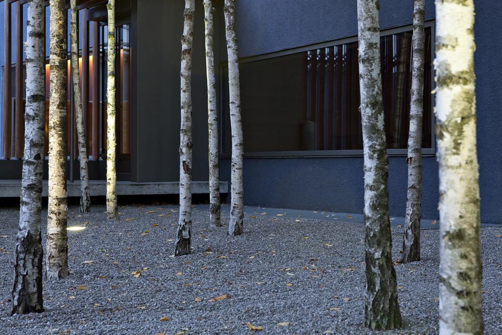 Greulich Design & Boutique Hotel Zürich Eksteriør bilde